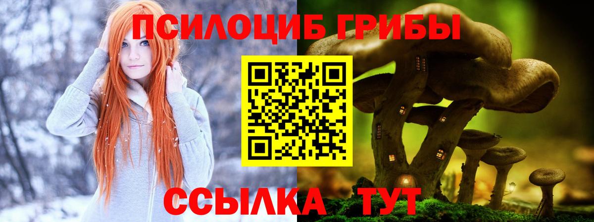Арзамас  Галлюциногенные грибы GOLDEN TEACHER  Вход с VPN  Псилоцибиновые грибы Cubensis 